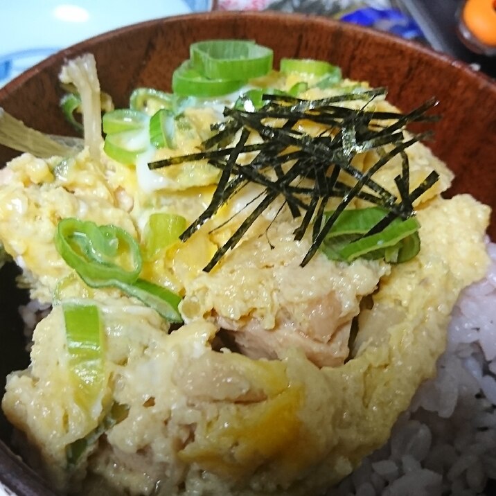 薬味も具もネギ  ネギを一本使った親子丼